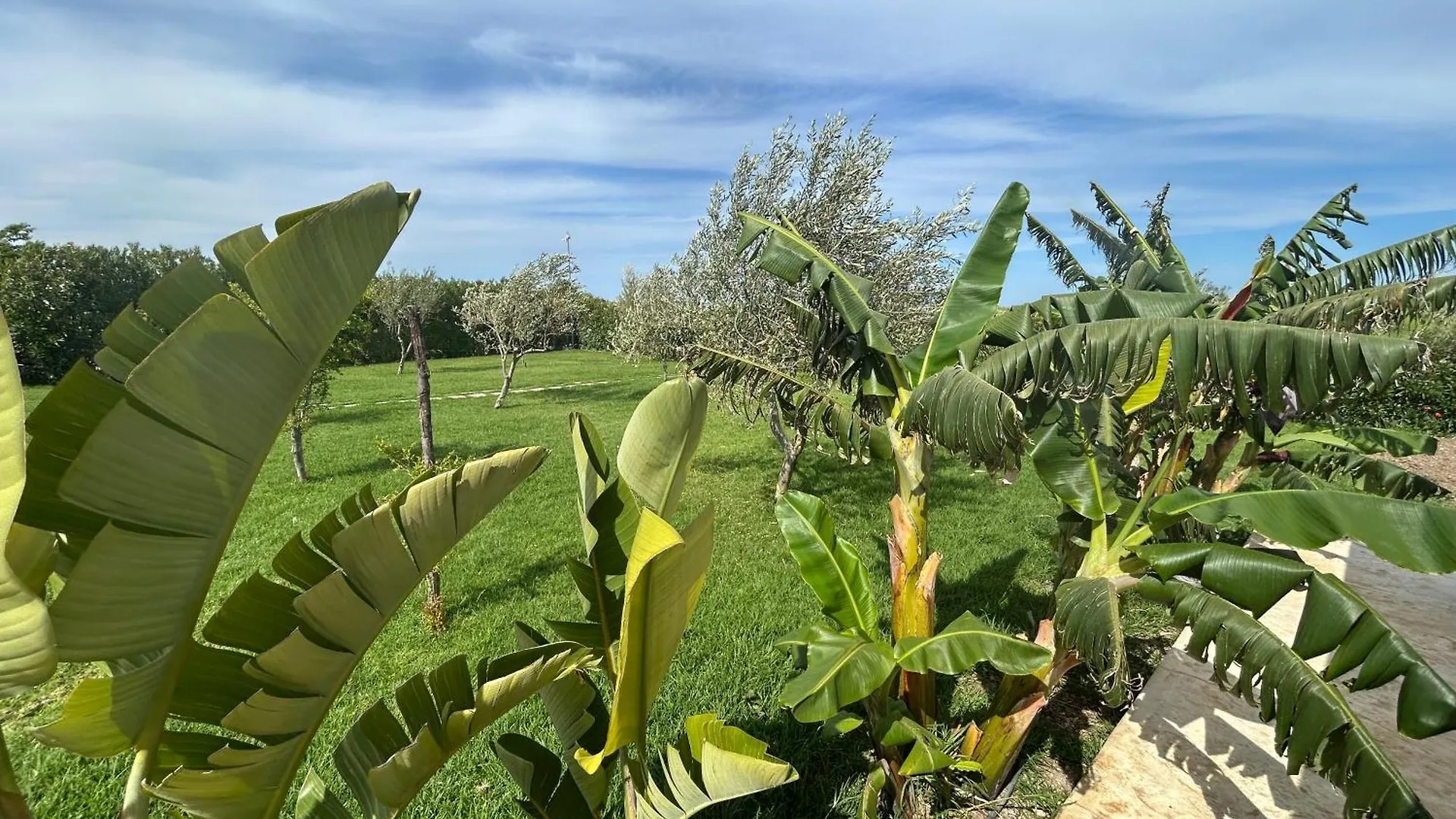 Country House il Gelso e l'Ulivo appartamento in villa l'Ulivo Noto